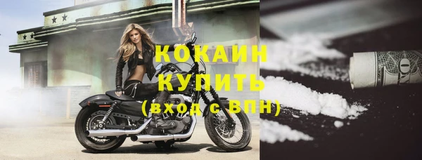 мяу мяу мука Гусев