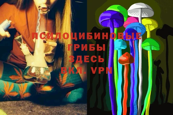 дурь Горняк