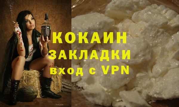 мяу мяу мука Гусев