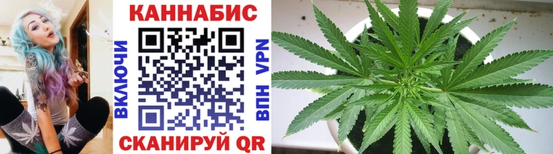 Конопля марихуана  Дорогобуж 